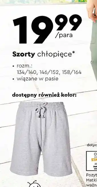 Biedronka Szorty chłopięce rozm. 146/152 oferta