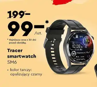 Biedronka Smartwatch sm6 czarny oferta