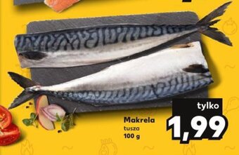 Kaufland Makrela 100 g oferta