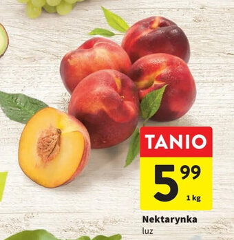 Intermarche Nektarynka 1 kg oferta