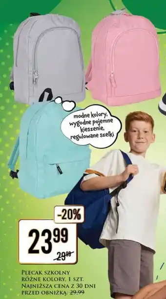 Dino PLECAK SZKOLNY RÓŻNE KOLORY, 1 SZT. oferta
