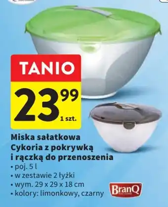 Intermarche Miska sałatkowa Cykoria z pokrywką i rączką do przenoszenia, poj. 5l oferta