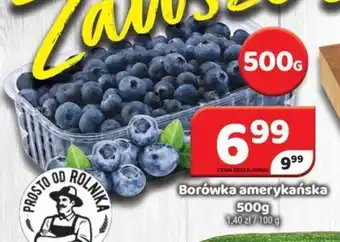 Delfin Borówka amerykańska 500g oferta