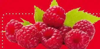 Selgros Maliny oferta