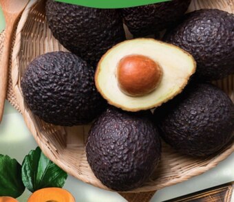 Topaz Awokado oferta