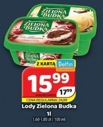 Delfin ZIELONA BUDKA Lody 1l oferta