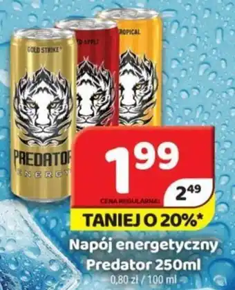 Delfin Napój energetyczny Predator 250ml oferta