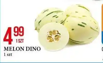 MELON DINO 1szt.