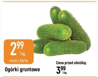 E.Leclerc Ogórki gruntowe 1kg oferta