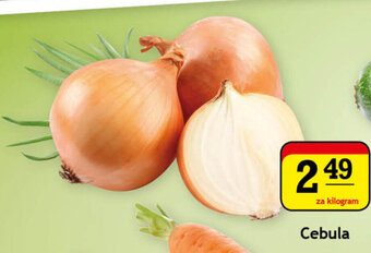 Gram Market Cebula 1kg oferta