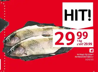 Selgros PSTRĄG TĘCZOWY PATROSZONY 800 G oferta