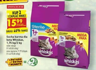 Sucha karma dla kota Whiskas 1,75kg/2kg