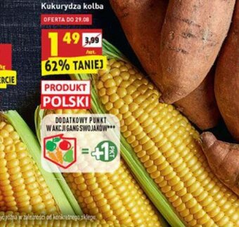 Biedronka Kukurydza kolba oferta