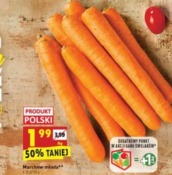 Biedronka Marchew młoda 1kg oferta