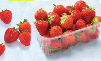 Intermarche Truskawki oferta