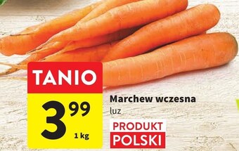 Intermarche Marchew oferta