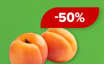 Barbora Morele oferta