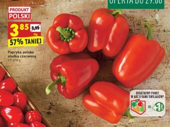 Biedronka Papryka polska słodka czerwona 1kg oferta