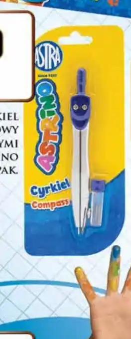 Dino Cyrkiel oferta