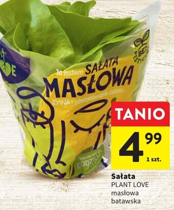 Intermarche Sałata oferta