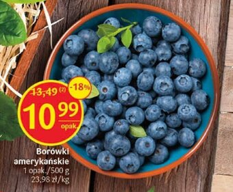 Delikatesy Centrum Borówki amerykańskie 500 g oferta