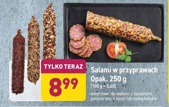 ALDI Salami w przyprawach 250g oferta