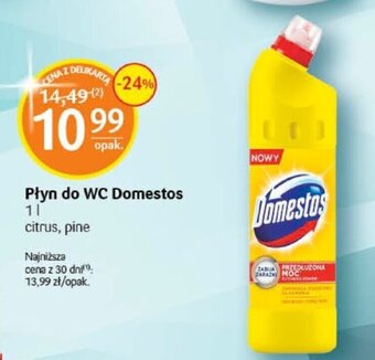Delikatesy Centrum Płyn do WC Domestos 1l oferta