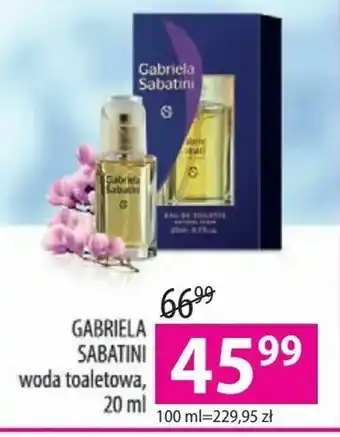 Hebe Gabriela sabatini oferta