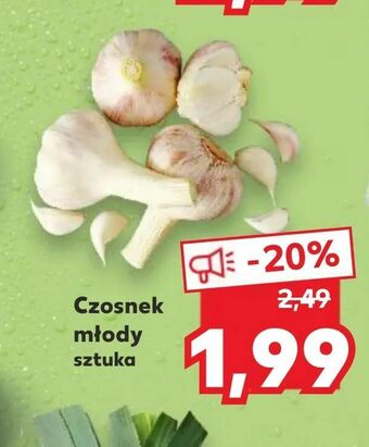 Kaufland Czosnek młody oferta