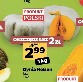 Netto Dynia Nelson oferta