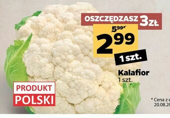 Netto Kalafior oferta