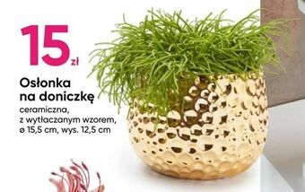 Pepco Osłonka na doniczkę oferta