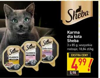 Stokrotka Karma dla kota Sheba oferta