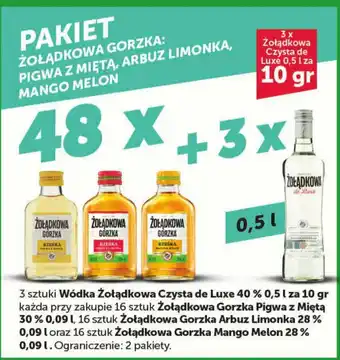 Eurocash PAKIET ŻOŁĄDKOWA GORZKA: PIGWA Z MIĘTA, ARBUZ LIMONKA, MANGO MELON 48 x + 3 x 0,5 l oferta