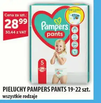 Eurocash PIELUCHY PAMPERS PANTS 19-22 szt. oferta