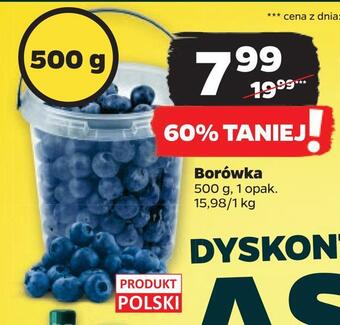 Netto Borówka oferta