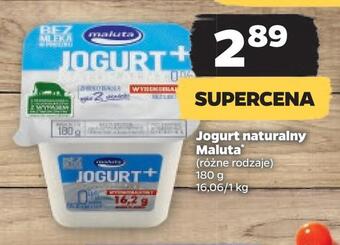 Netto Jogurt naturalny maluta * oferta