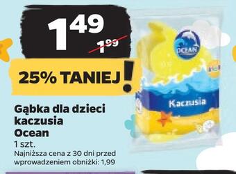 Netto Gąbka dla dzieci kaczusia ocean oferta