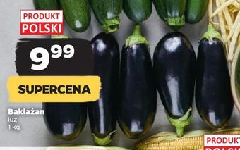 Netto Bakłażan oferta