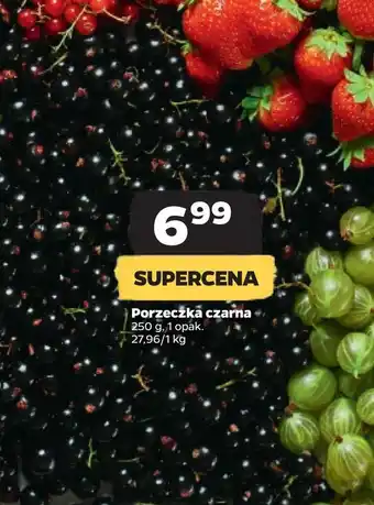 Netto Porzeczka czarna oferta