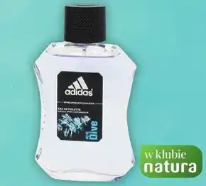Drogerie Natura Woda toaletowa adidas oferta