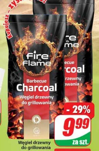 Dino Węgiel drzewny fire & flame oferta