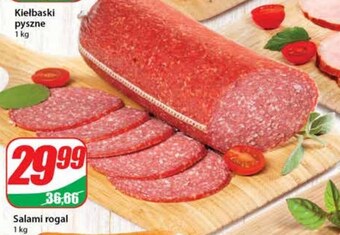 Dino Salami agro rydzyna oferta