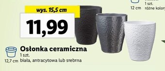 Lidl Osłonka ceramiczna oferta