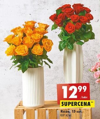 Biedronka Róża, 15 szt. oferta