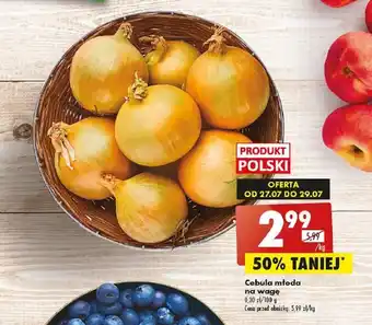 Biedronka Cebula młoda 1kg oferta