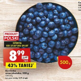Biedronka Borówka amerykańska, 500 g oferta