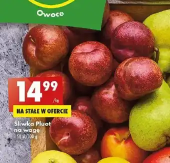 Biedronka Śliwka Pluot 1kg oferta