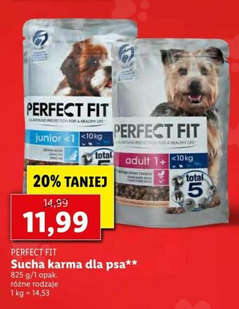 Lidl Sucha karma dla psa oferta