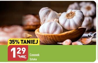 ALDI Czosnek Sztuka oferta